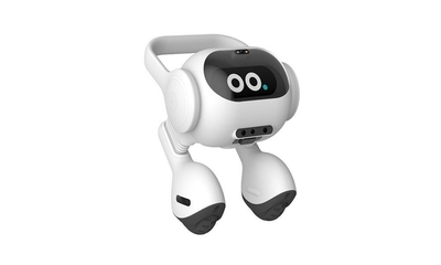 先睹為快 CES 2024上幾款令人驚艷的智能語音機器人新品