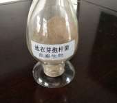 河南畜牧水產(chǎn)動(dòng)物營(yíng)養(yǎng)優(yōu)化 飼料添加劑與飼料銷售的戰(zhàn)略整合